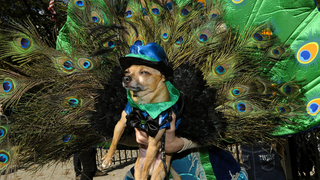 Illustration for article titled The Best Costumes From The Tompkins Square Dog Parade